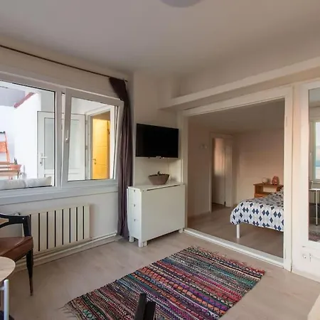 Studio W Fascinating Bosphorus View And Terrace! 公寓 伊斯坦布尔